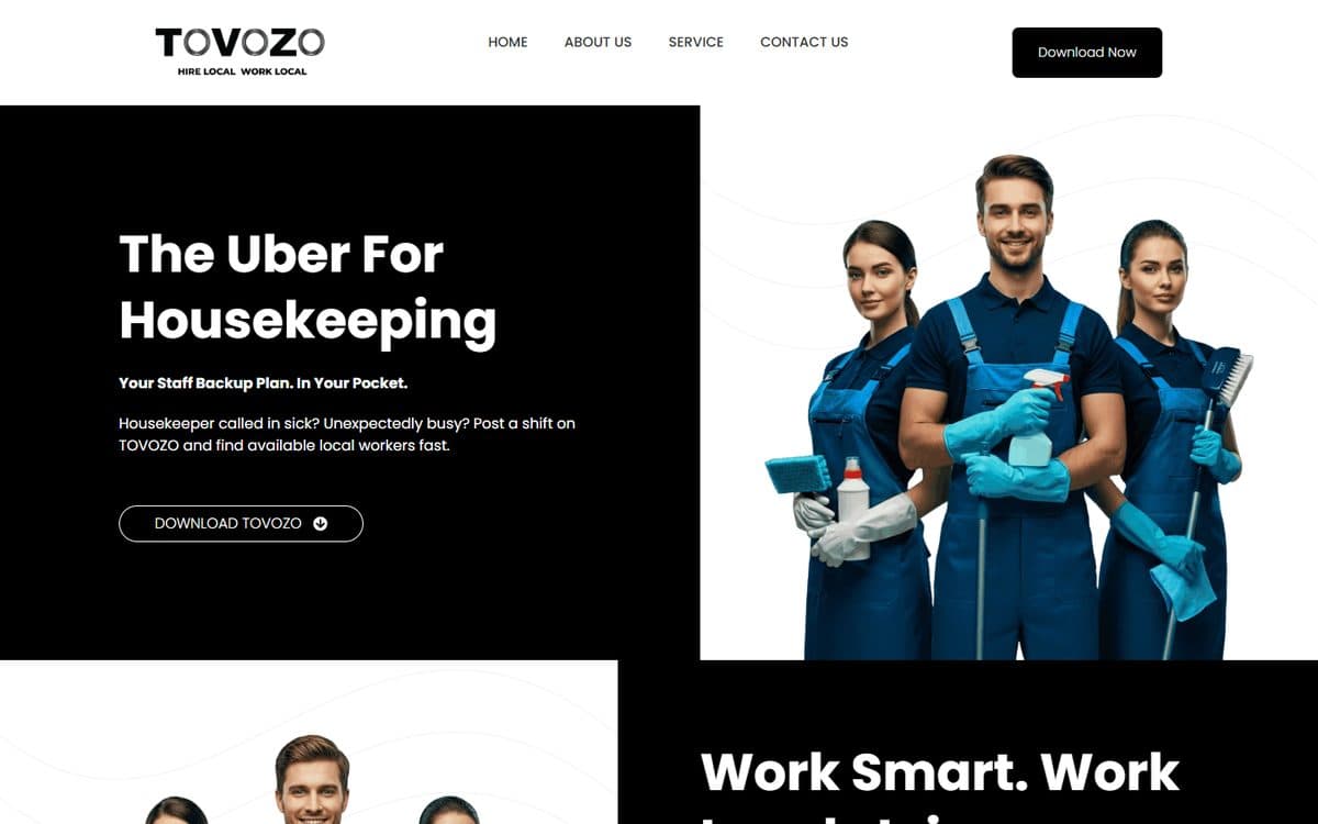 TOVOZO website homepage